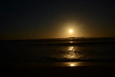 DSC_7075 (Large).JPG